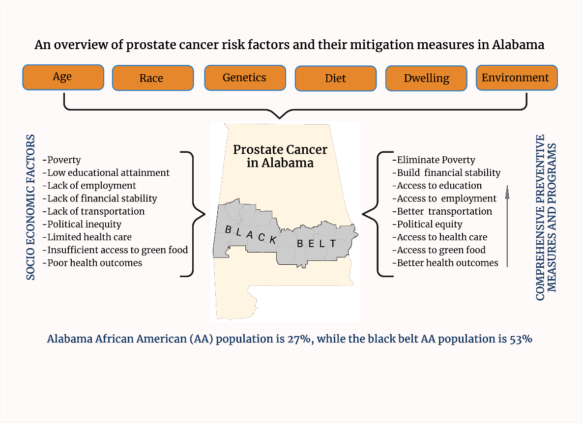 Social Determinants