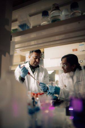 STEM photo